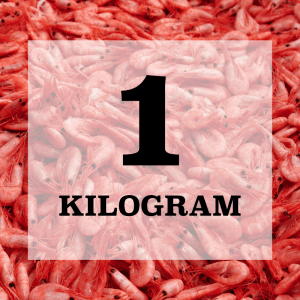 1 KG